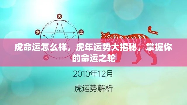 虎年运势揭秘,掌握命运之轮,洞悉虎年运势走向