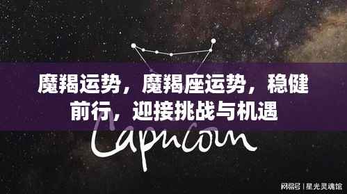 魔羯运势,魔羯座运势,稳健前行,迎接挑战与机遇