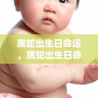 属蛇出生日的命运解析,揭秘蛇年出生的神秘运势