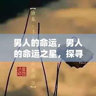 探寻命运轨迹，男人的机遇与挑战之星
