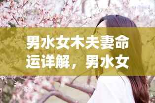 男水女木,夫妻命运的和谐乐章详解
