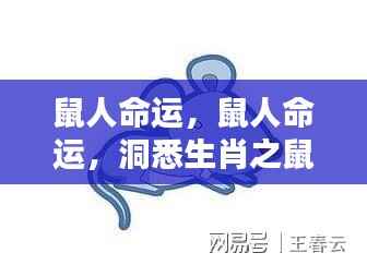 鼠人命运揭秘,洞悉生肖之鼠的运势走向与未来展望