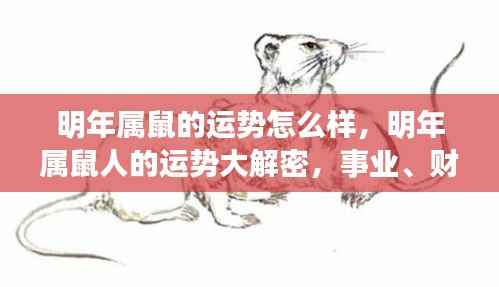 2024年属鼠人运势大解密,事业、财运、爱情全面展望