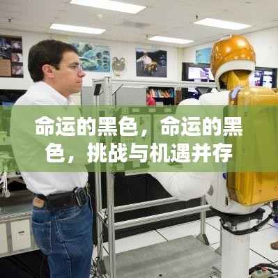 命运的黑色,挑战与机遇的交织
