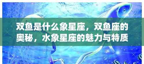 揭秘双鱼座,水象星座的魅力与独特奥秘