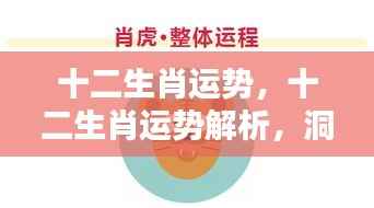 十二生肖运势深度解析,洞悉未来,把握好运之门