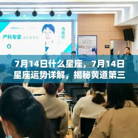揭秘黄道第三星座的神秘面纱,7月14日星座运势详解及星座属性解析