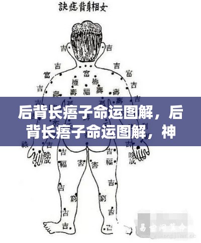 后背长痦子命运解读,神秘符号揭示命运之谜