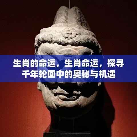 生肖命运奥秘探寻,千年轮回中的机遇与挑战