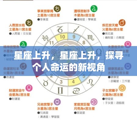 星座上升,个人命运的新视角探索
