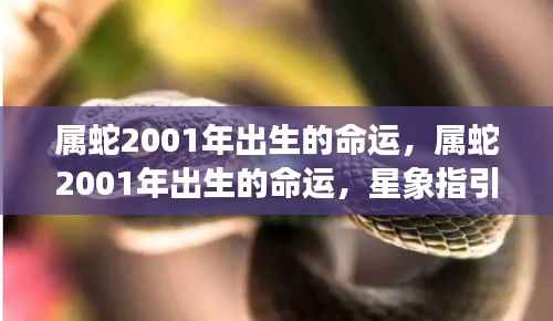 属蛇2001年出生命运展望,星象指引下的未来轮廓揭秘