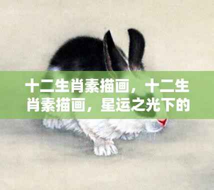 星运之光下的生肖魅力,十二生肖素描画欣赏