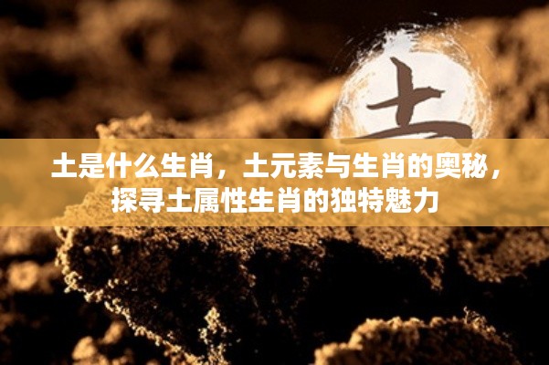 生肖中的土元素奥秘,探寻土属性生肖的独特魅力与特质
