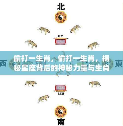 揭秘生肖运势与星座神秘力量的神秘关联，偷打一生肖探秘生肖运势之谜