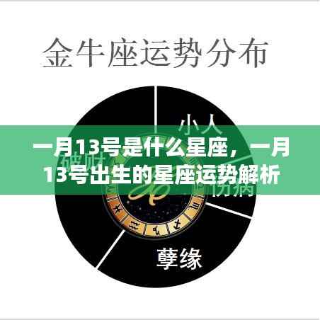 一月13号星座运势解析,揭秘出生者的性格与运势特点