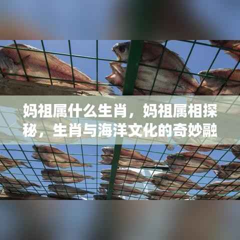 妈祖生肖探秘,海洋文化与生肖的奇妙交融