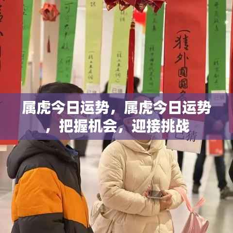 属虎今日运势揭秘,把握机遇,勇迎挑战