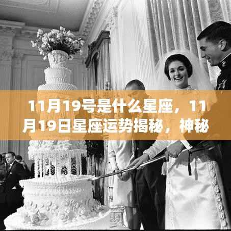揭秘11月19日星座运势与个性魅力,神秘面纱下的星座秘密