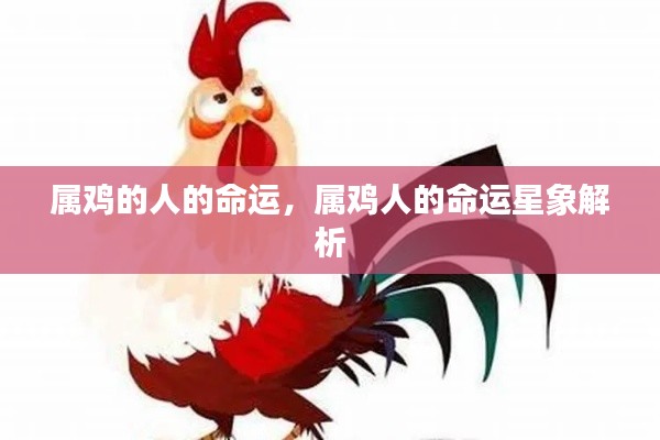 属鸡人的命运星象解析与运势展望