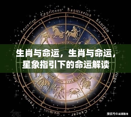 生肖星象与命运解读,探寻生肖背后的命运指引
