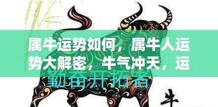 属牛人的运势大解密，如何翻转跃升，牛气冲天？