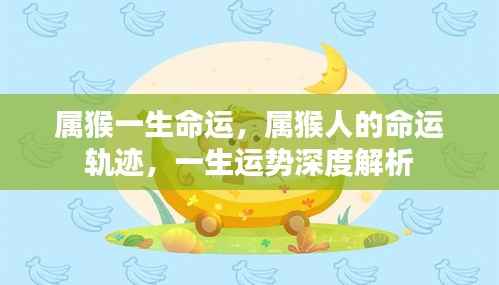 属猴人的命运深度解析,一生运势轨迹与命运轨迹展望