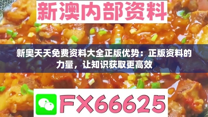 新奥天天免费资料大全正版优势:正版资料的力量,让知识获取更高效