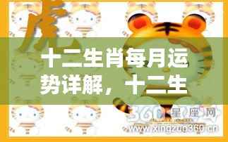 掌握十二生肖每月运势,开启好运人生之旅