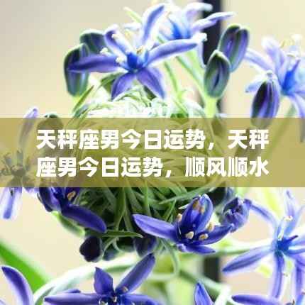 天秤座男今日运势大解析,顺风顺水,机遇尽在掌握