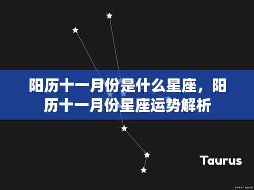 阳历十一月份的星座运势解析与星座特点揭秘