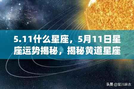 5月11日星座运势揭秘,黄道星座之魅力与运势探索