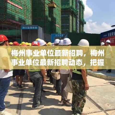 梅州事业单位最新招聘动态,把握机遇,共创未来发展之路