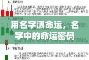 名字中的命运密码,揭示未来走向的奥秘