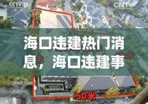 海口违建事件持续发酵，星座运势警示下的热门话题