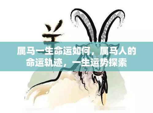 属马人的命运轨迹与一生运势探索,揭示一生起伏与机遇!