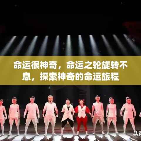 命运之旅,探索命运之轮的神秘旋转