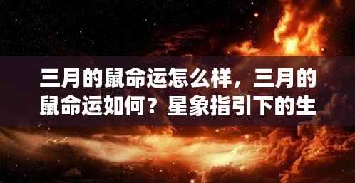 三月生肖鼠命运解析,星象指引下的运势展望