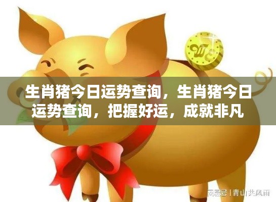 生肖猪今日运势详解,把握好运,迎接非凡成就