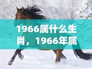 岁月轮回中的机遇与挑战,揭秘属马人在生肖运势中的命运与成长历程(1966年)