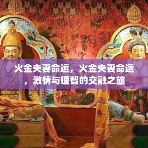 火金夫妻命运,激情与理智的交融之旅