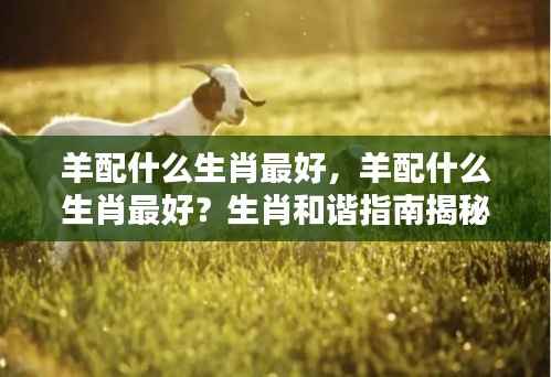 羊配什么生肖最佳?生肖配对和谐指南解密