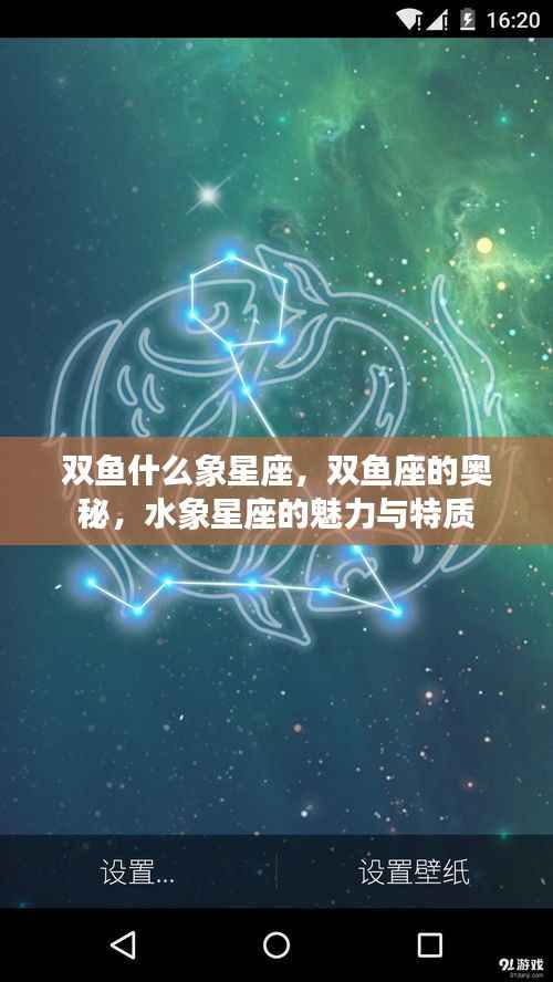 揭秘双鱼座,水象星座的魅力与独特奥秘