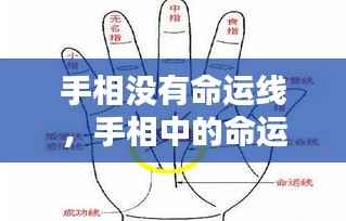 手相无命运线,人生仍由自我主宰