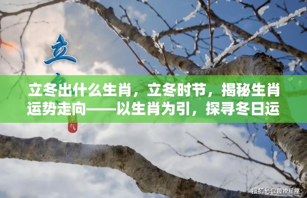 立冬时节生肖运势揭秘，探寻冬日运势奥秘，揭秘生肖运势走向新篇章