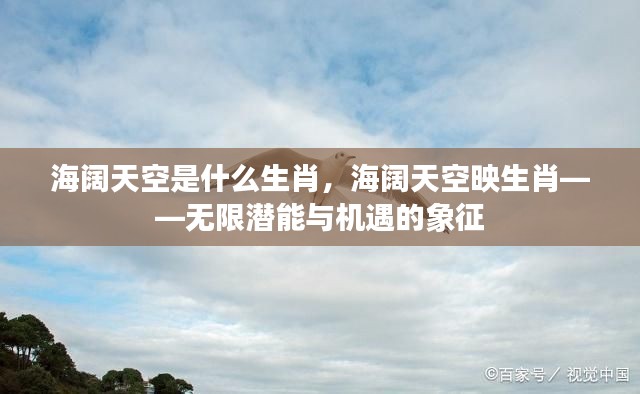 海阔天空与生肖,无限潜能与机遇的象征探索