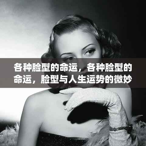 脸型与人生运势,微妙关联揭示命运走向的奥秘
