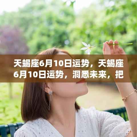 天蝎座6月10日运势详解，洞悉未来，把握机遇，赢在运势之巅