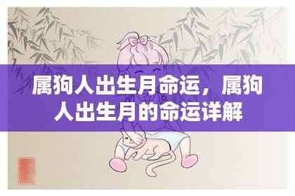 属狗人出生月命运详解,揭示不同月份出生的属狗人性格与命运特点