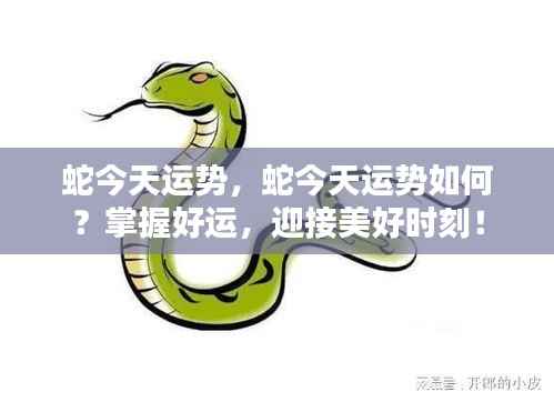 今日蛇运势详解，把握好运，迎接美好时刻！