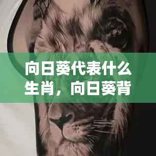 揭秘生肖与星座之谜,向日葵背后的生肖秘密与生肖与星座的奇妙联系探索